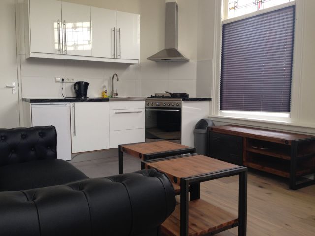 Netherlands furnished Apartment in South Holland, Hague