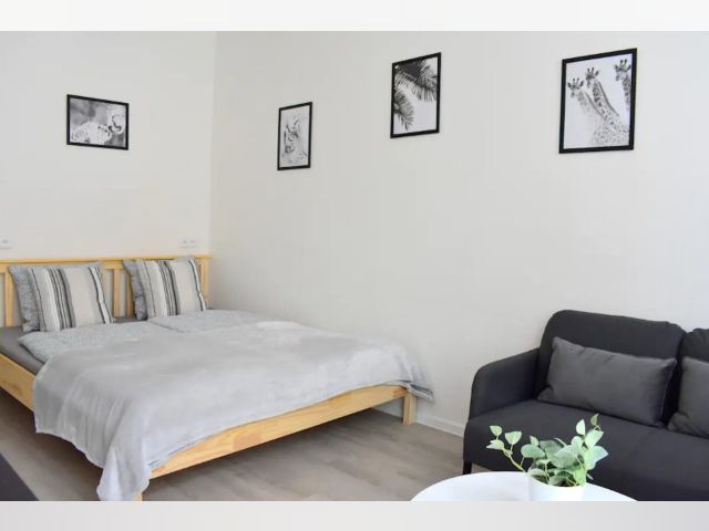 Czech Republic furnished Apartment in Bohemia, Prague