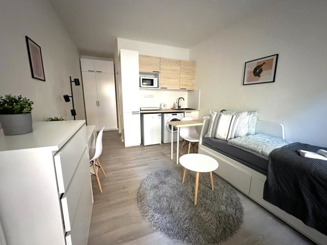 Czech Republic furnished Apartment in Bohemia, Prague