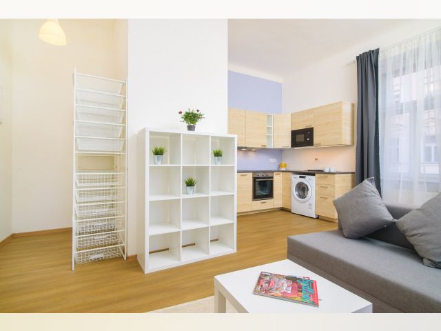 Czech Republic furnished Apartment in Bohemia, Prague