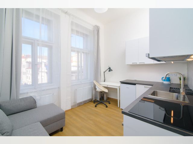 Czech Republic furnished Apartment in Bohemia, Prague