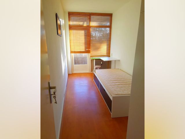 Netherlands furnished Room in South Holland, Rotterdam