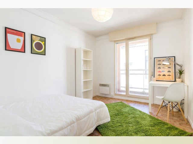 France furnished Room in Rhone-Alpes, Lyon