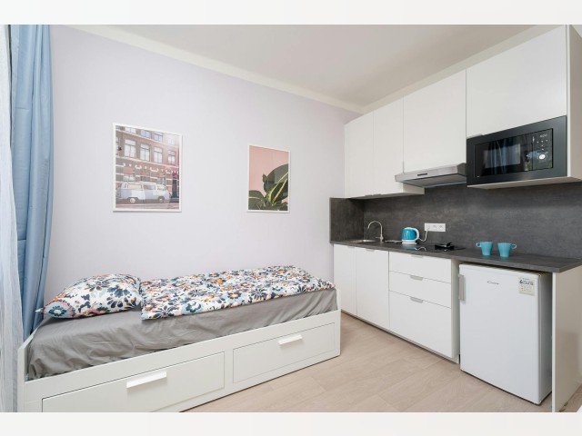 Czech Republic furnished Apartment in Bohemia, Prague