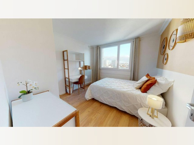 France furnished Room in Rhone-Alpes, Lyon