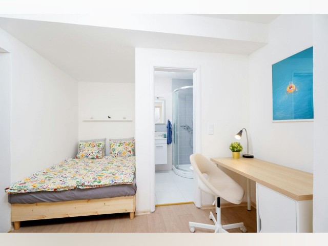 Czech Republic furnished Apartment in Bohemia, Prague