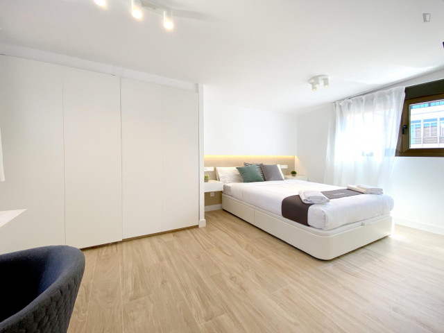 Spain furnished Room in Madrid, Madrid