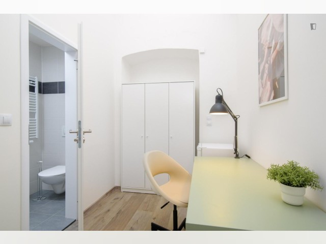 Czech Republic furnished Apartment in Bohemia, Prague