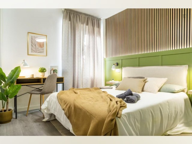Spain furnished Room in Madrid, Madrid